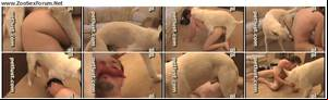 Bestiality Porn Man - File Name - \
